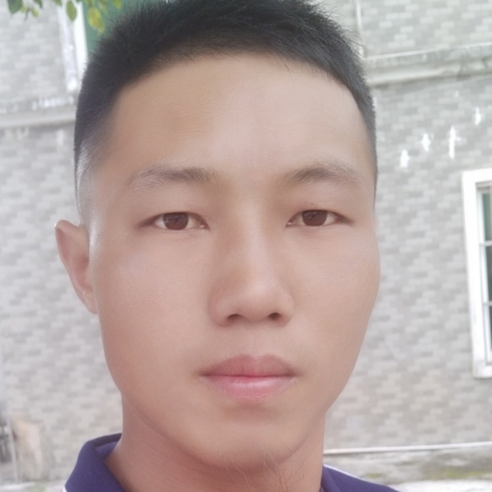 太阳友好的照片