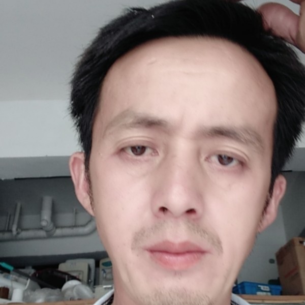诚心寻觅的照片