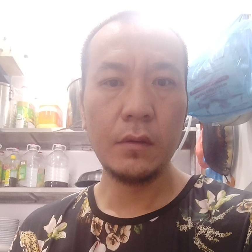 海豚寂寞的照片