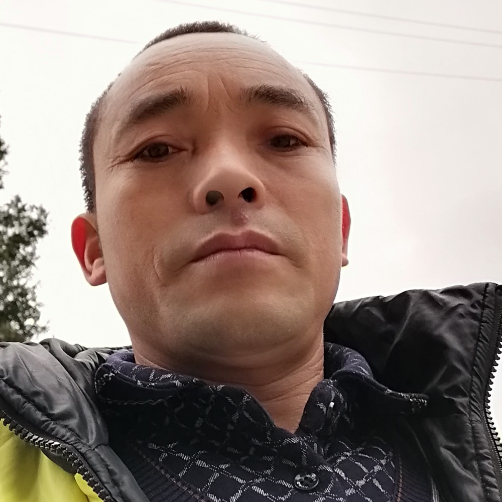 红牛合适|的照片