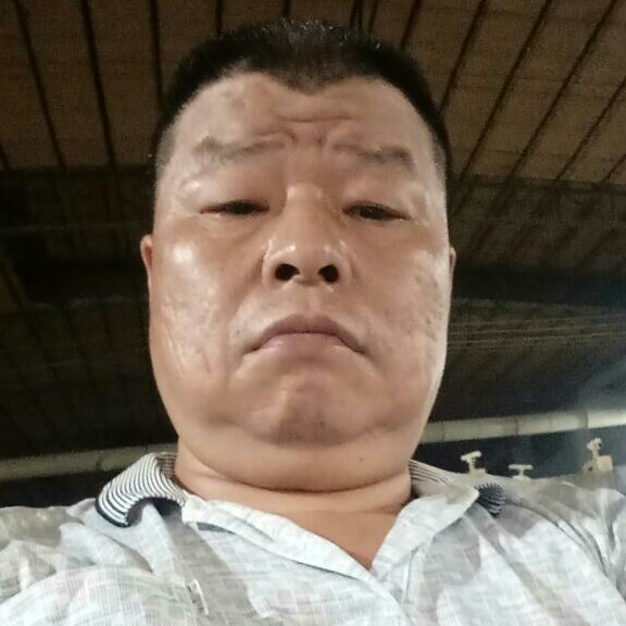 彪壮给老虎的照片
