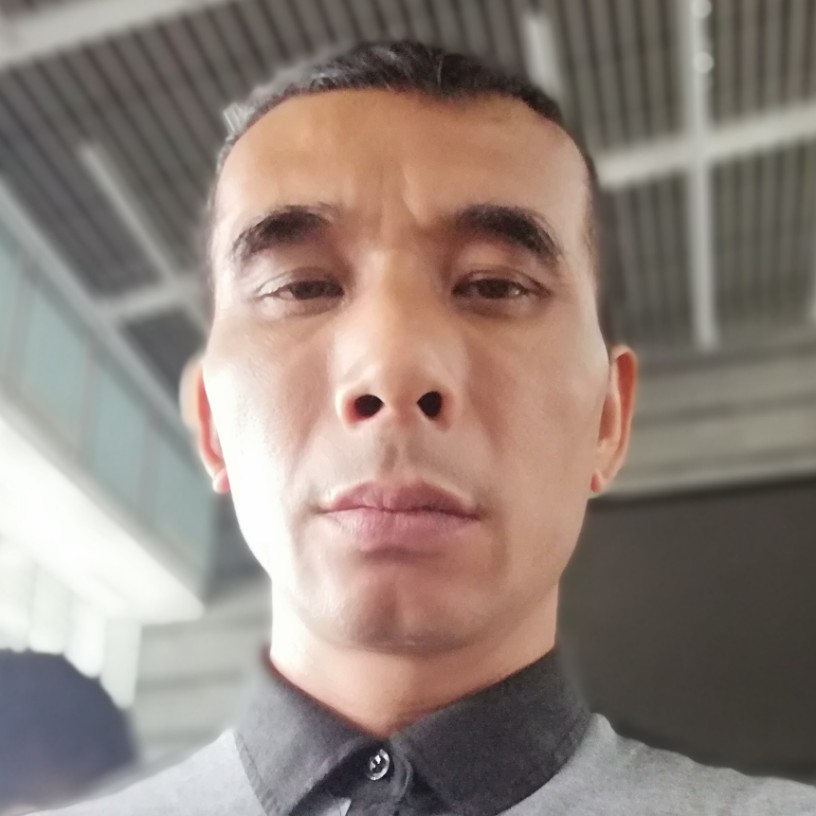 找相伴的照片