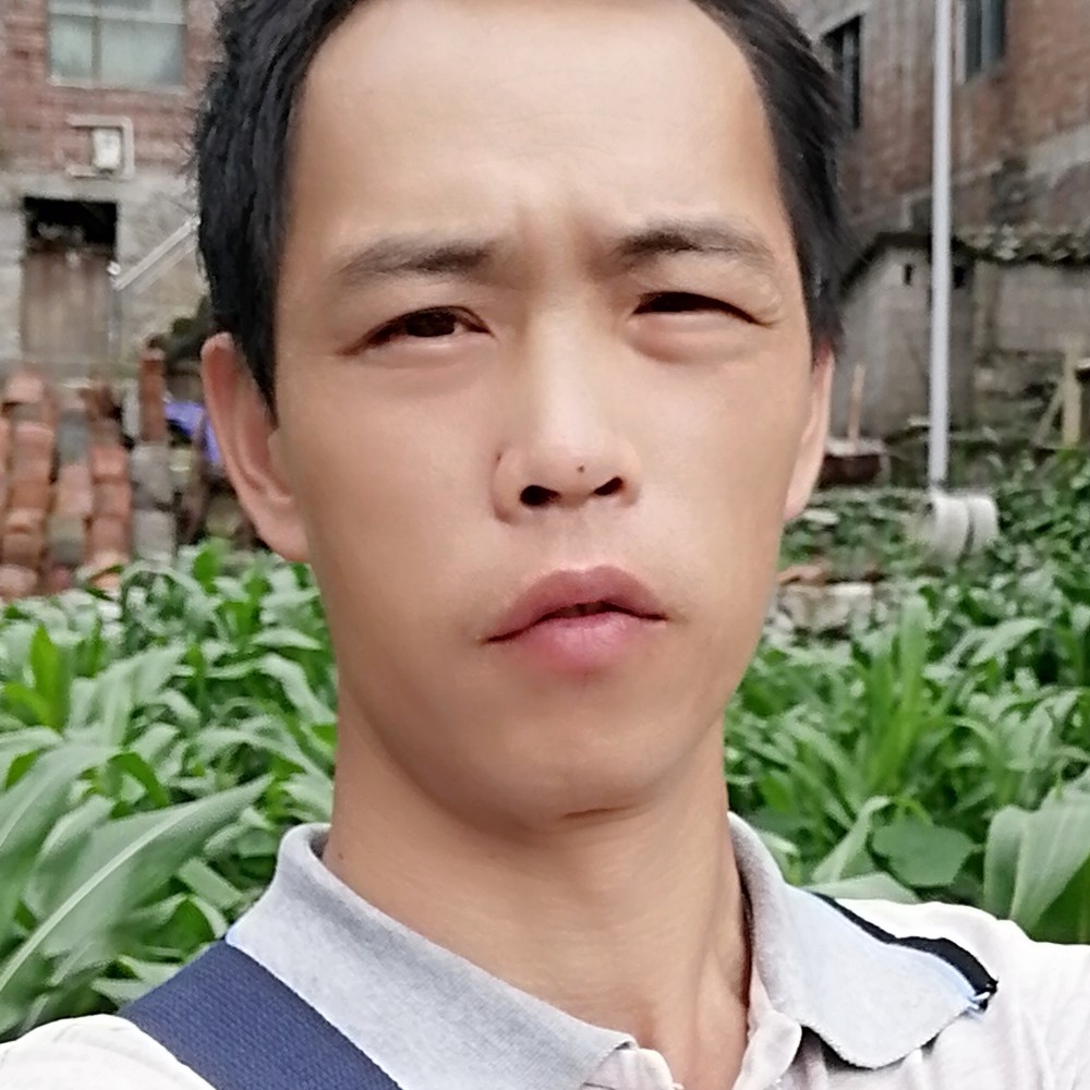 棒棒糖细心的照片