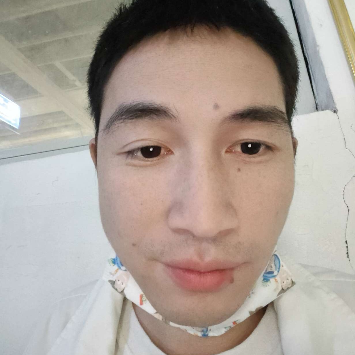 小熊猫演变长情的照片
