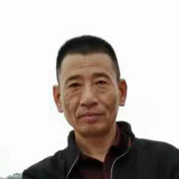 端庄枫叶的照片