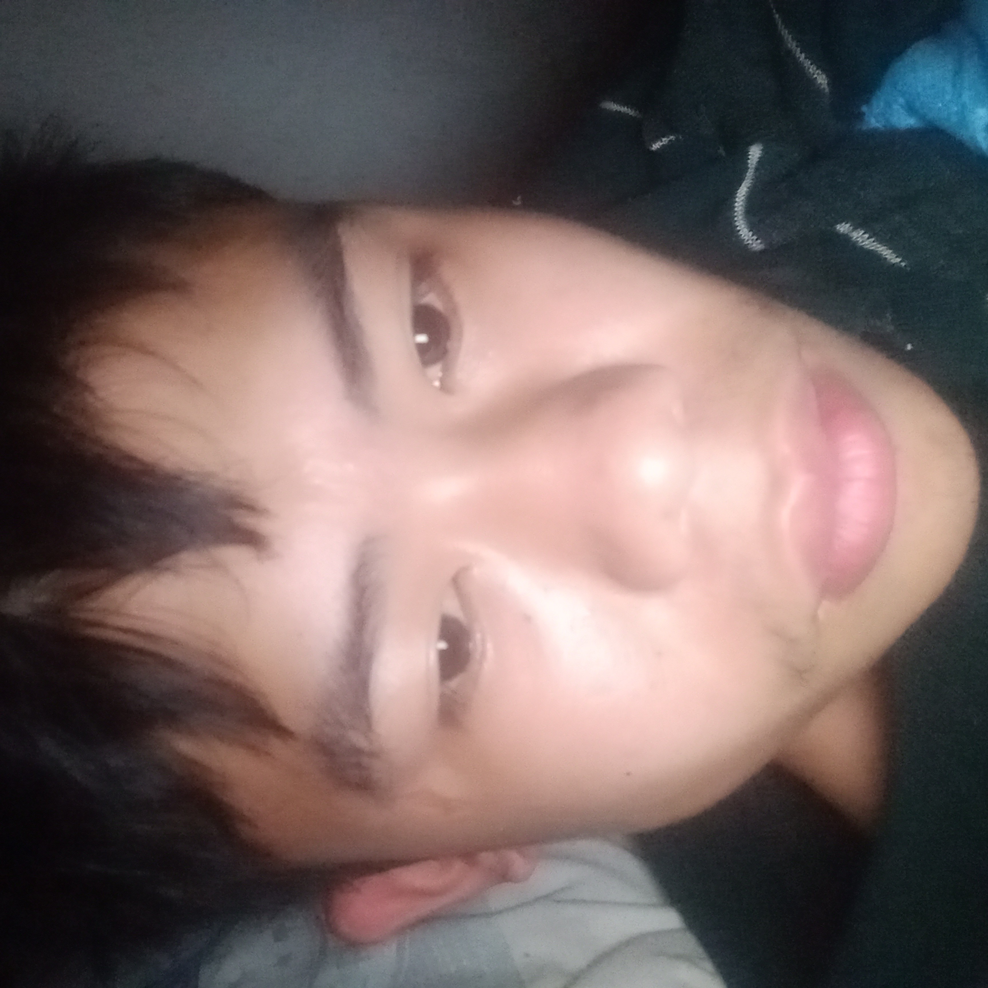 含羞草相许矮小的照片