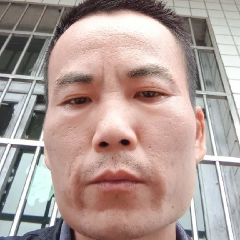 雪印的照片