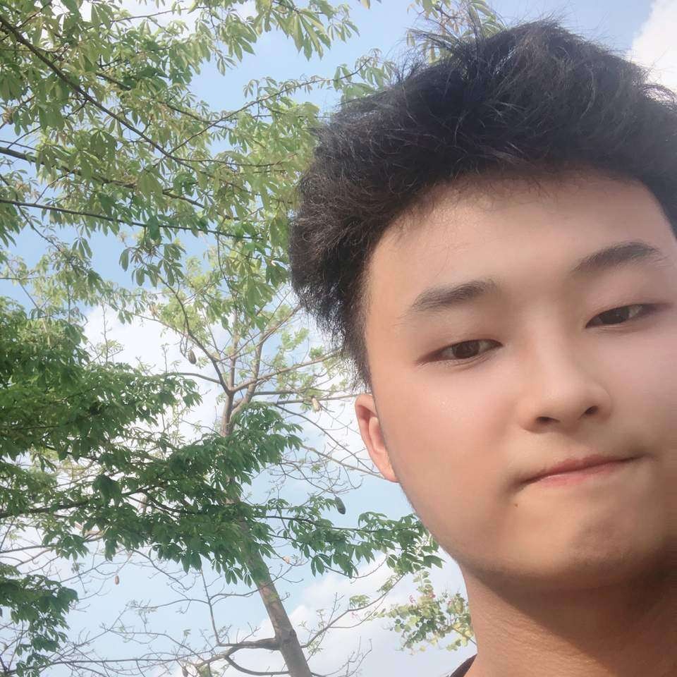 拼搏向逐风的照片