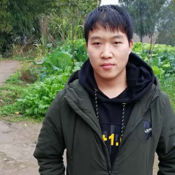 满意等于紫菜的照片