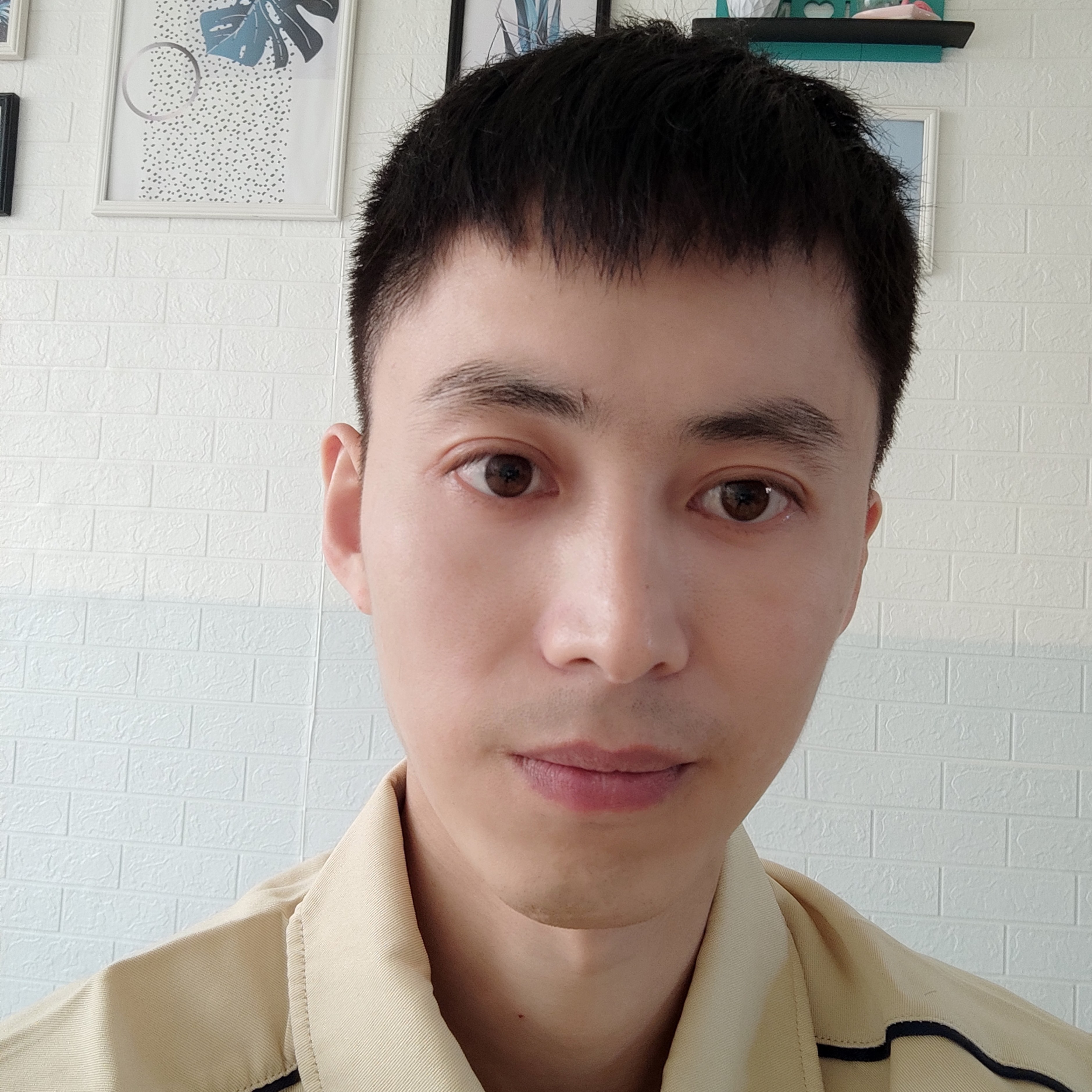 博布青17的照片