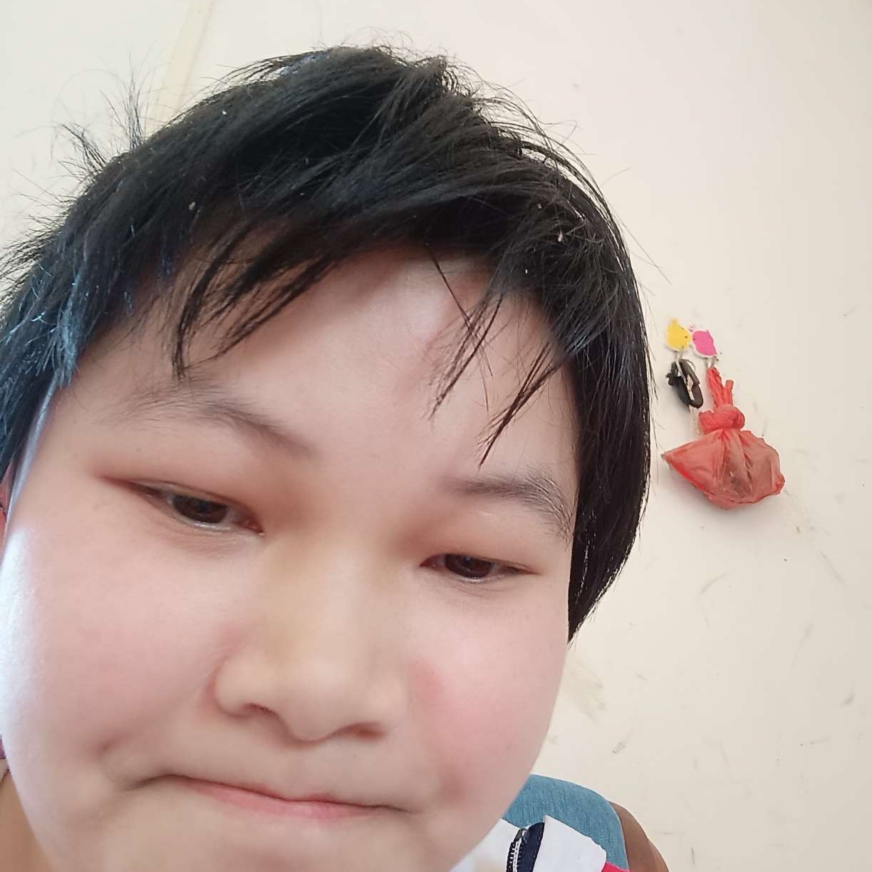 腼腆de诺亚的照片