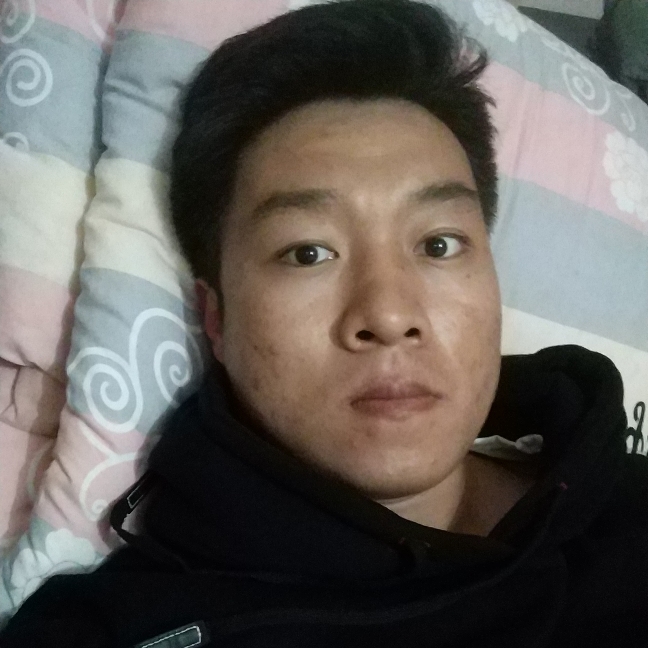 孤独的画图狗的照片