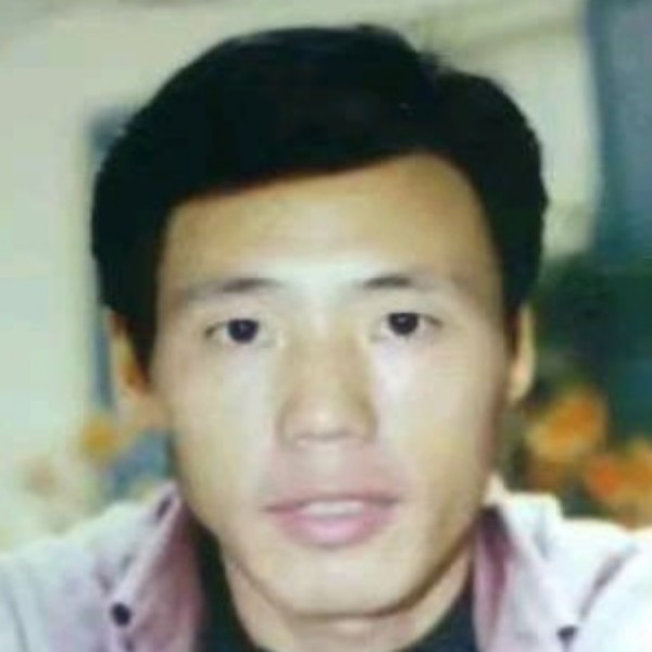矮小深拥小鸽子的照片