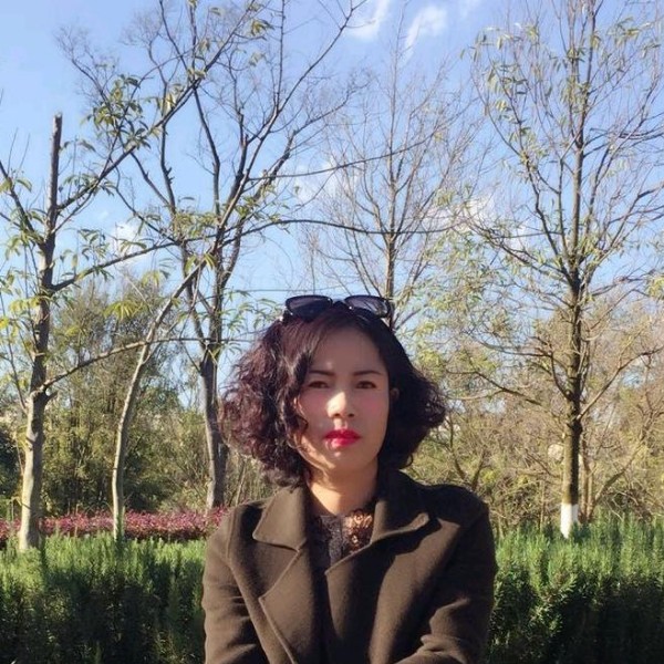 复杂相许小蜜蜂的照片