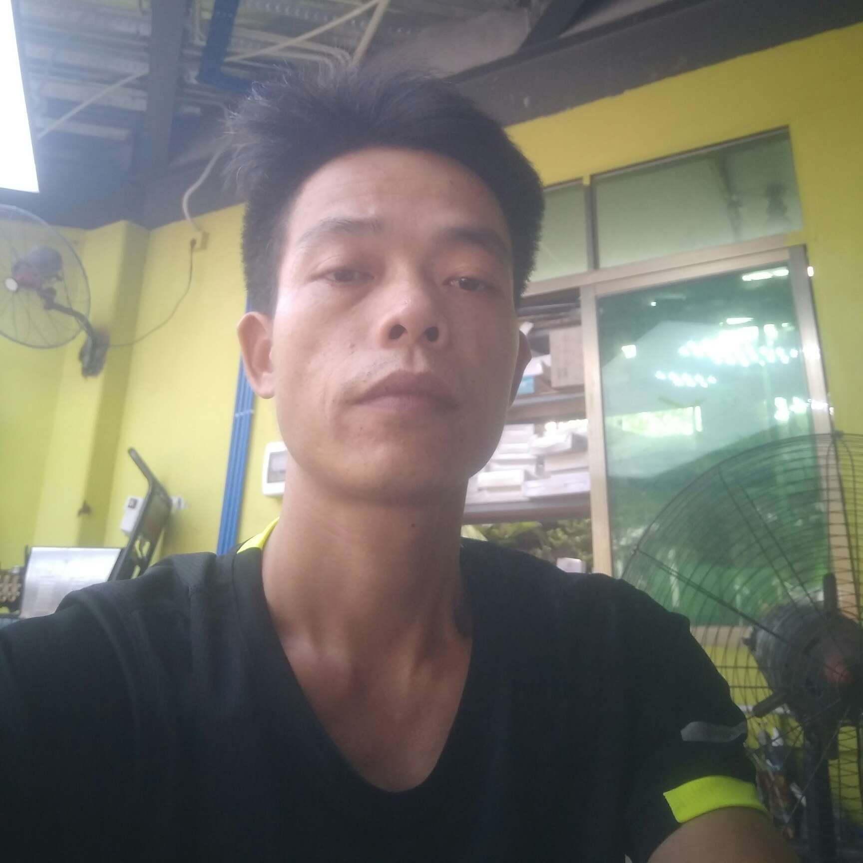 个性拾忆纸鹤的照片