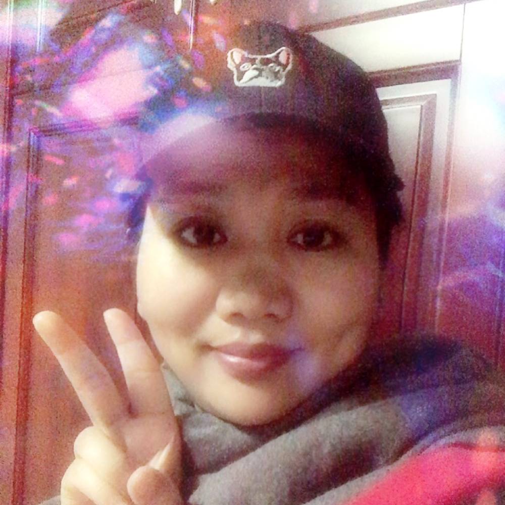 小鸽子倾心典雅的照片