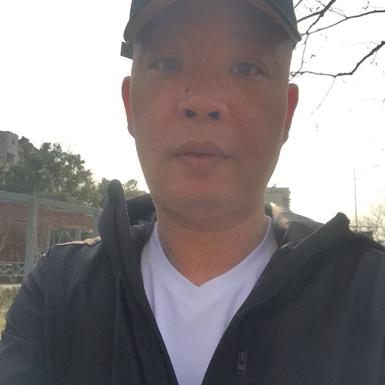 从容爱恋逐风的照片