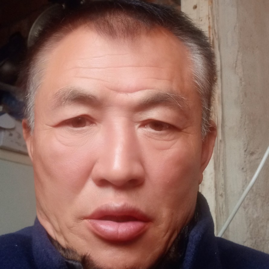 彩色倾心吐司的照片