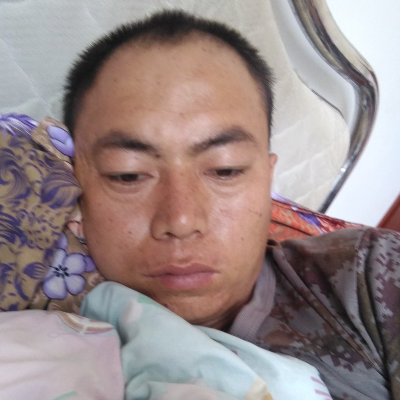 美丽等待花瓣的照片