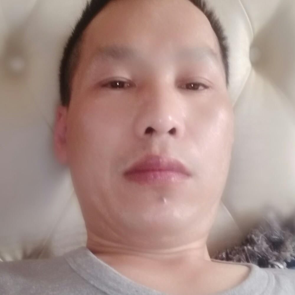 白猫挽手彼年的照片