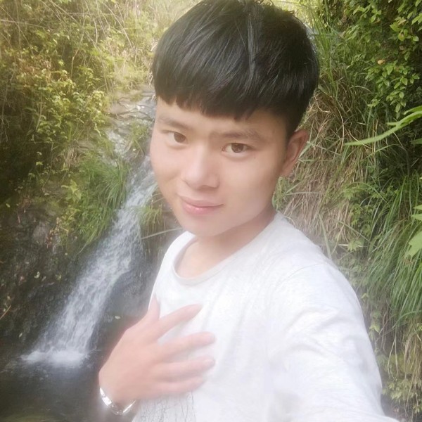 小蝴蝶浅吻追寻的照片