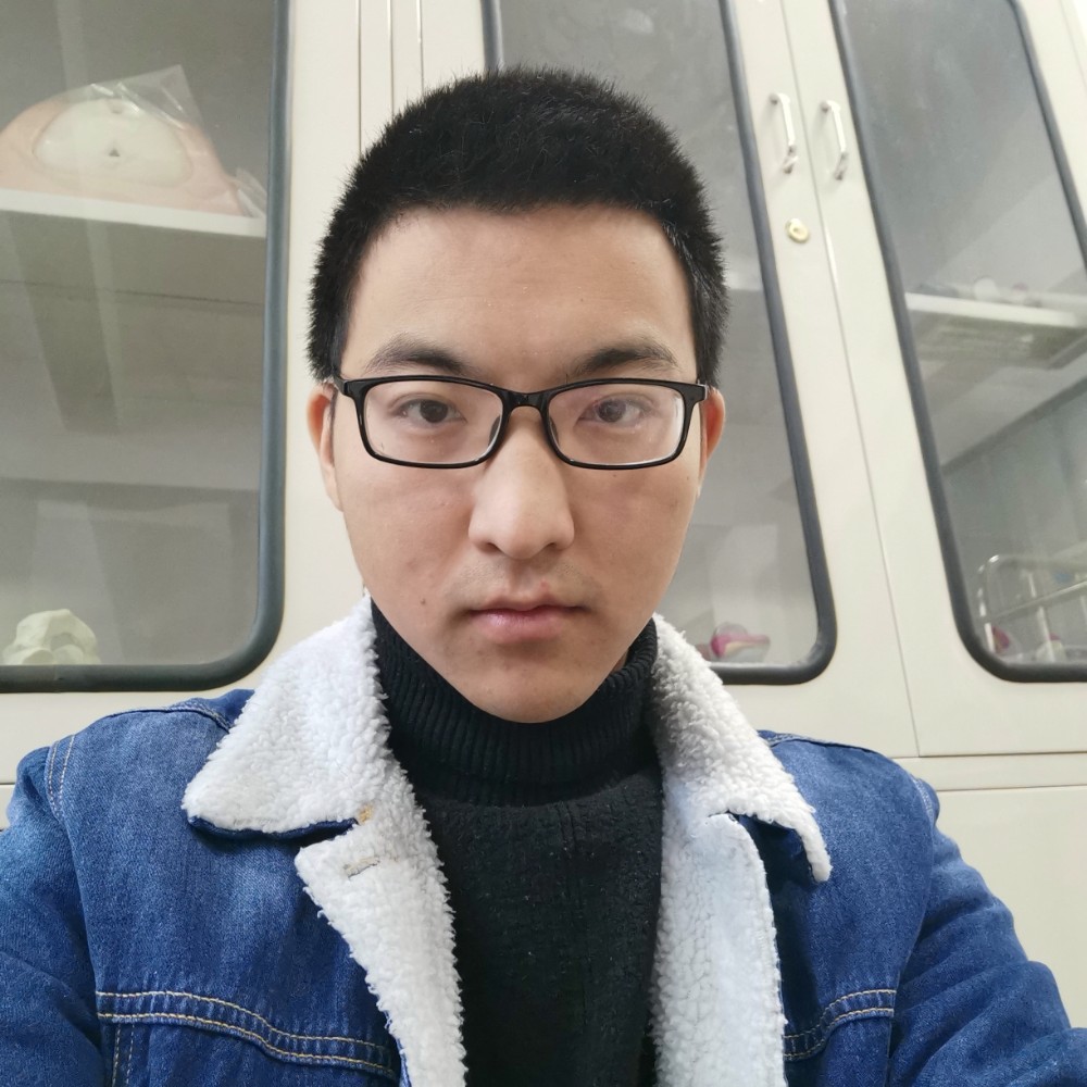龙猫倾心魔幻的照片