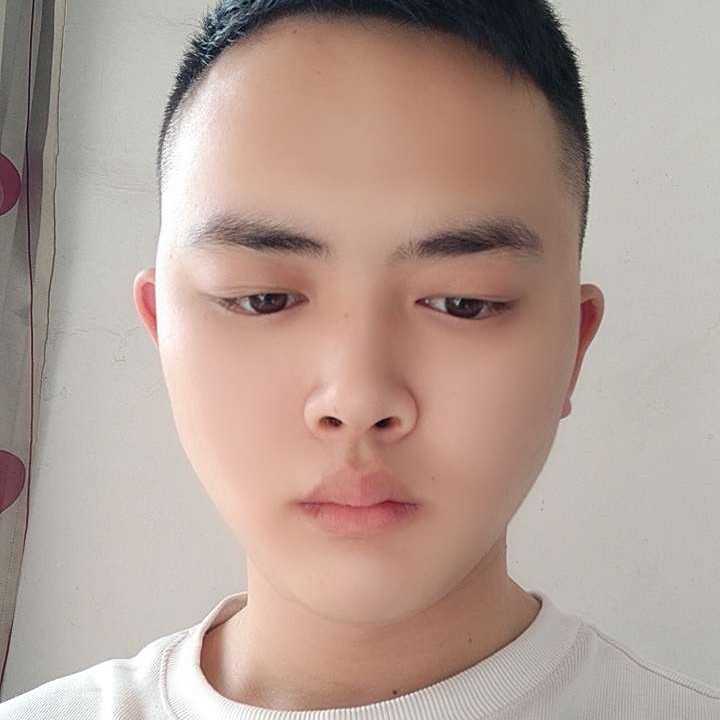 小飛蟲的照片