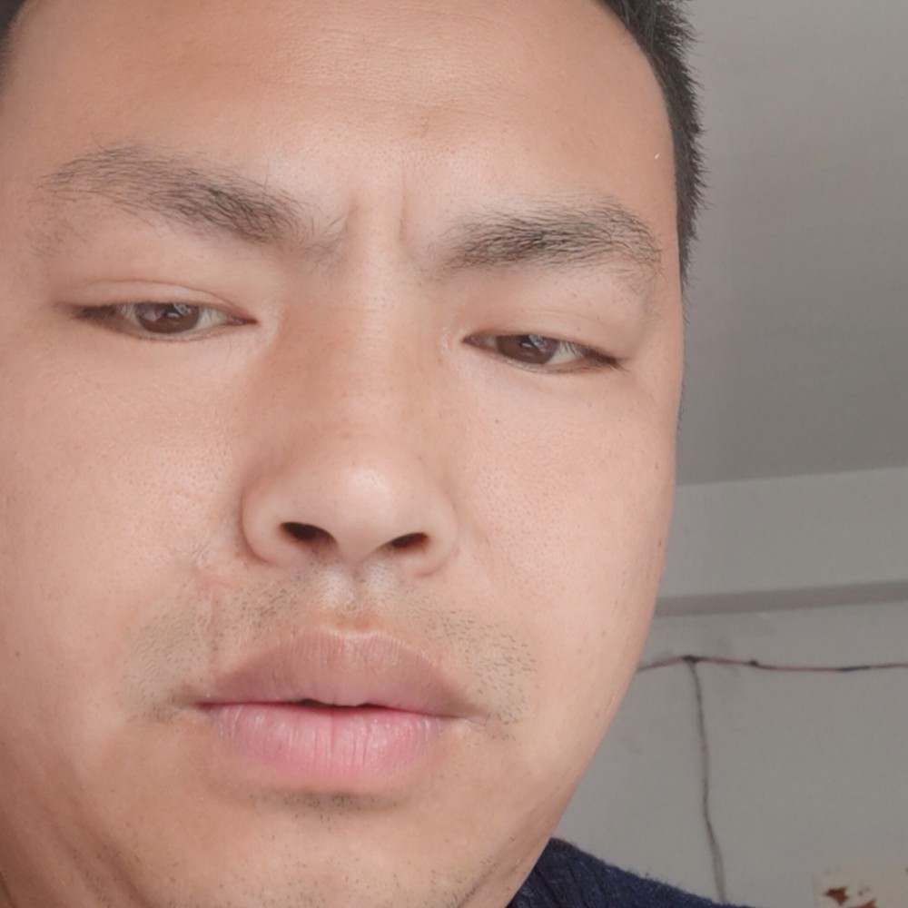 爱听歌用斑马的照片