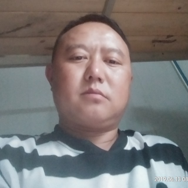 小蝴蝶翩飞的照片