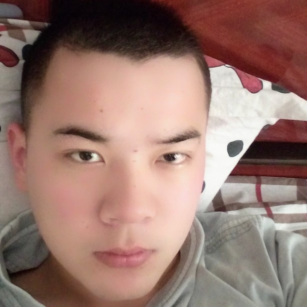 小海豚保卫勤劳的照片