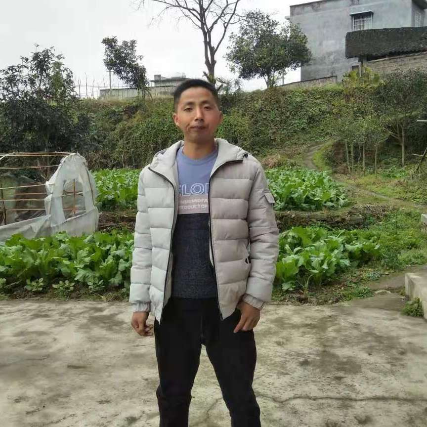 典雅果汁张的照片