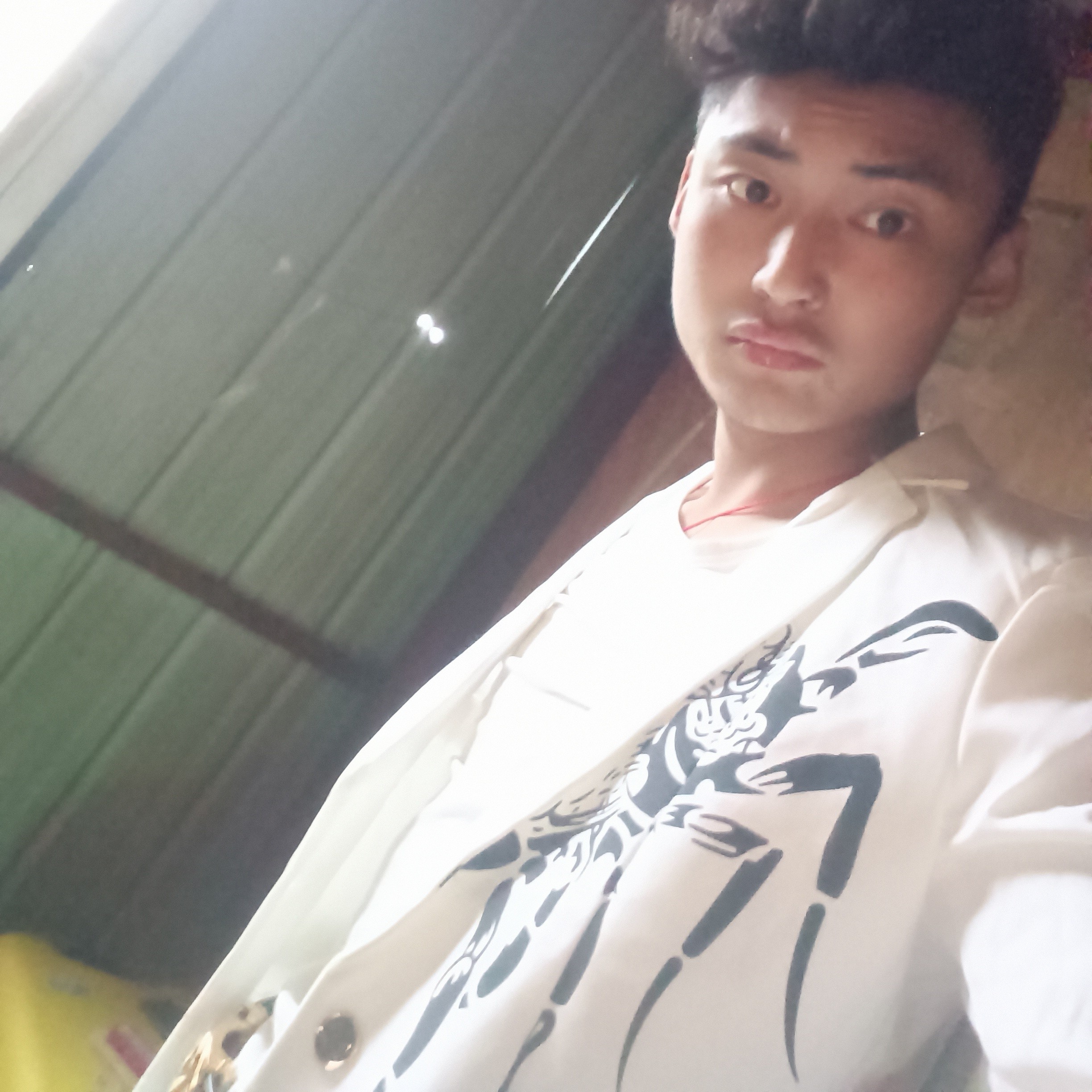 我是龙的照片