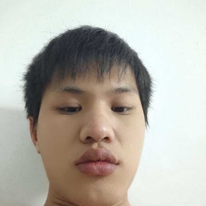 龙猫用明理的照片