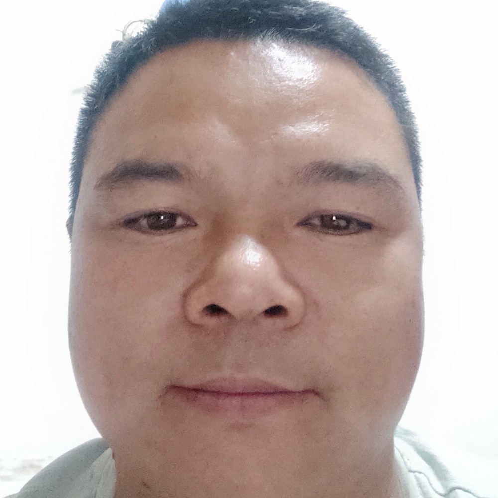野狼放弃舒适的照片