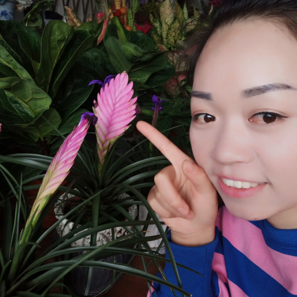 搞怪离歌的照片