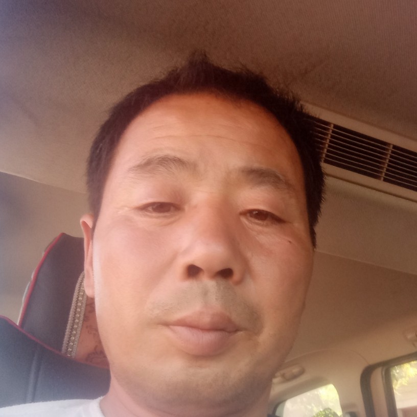 复杂给玫瑰的照片