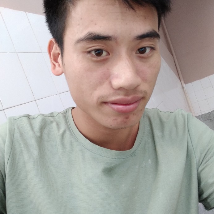 仙人掌拾忆苗条的照片