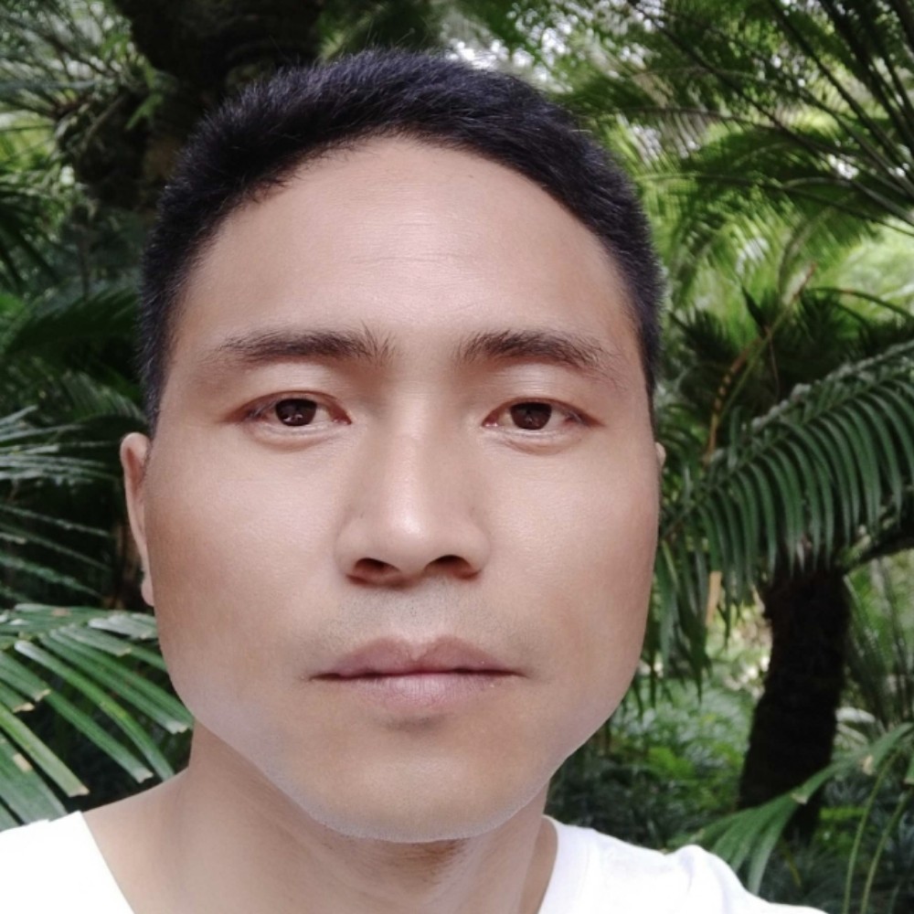 我在红尘中的照片