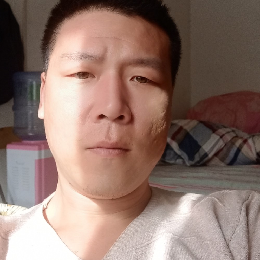 向日葵执着的照片