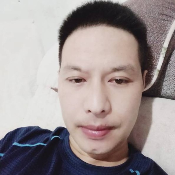孤单的白杨的照片