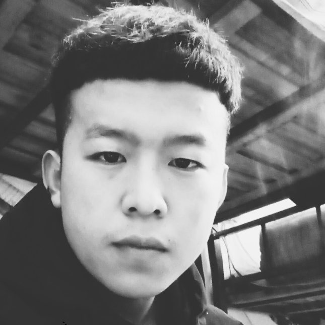 皮皮狗的忧伤的照片