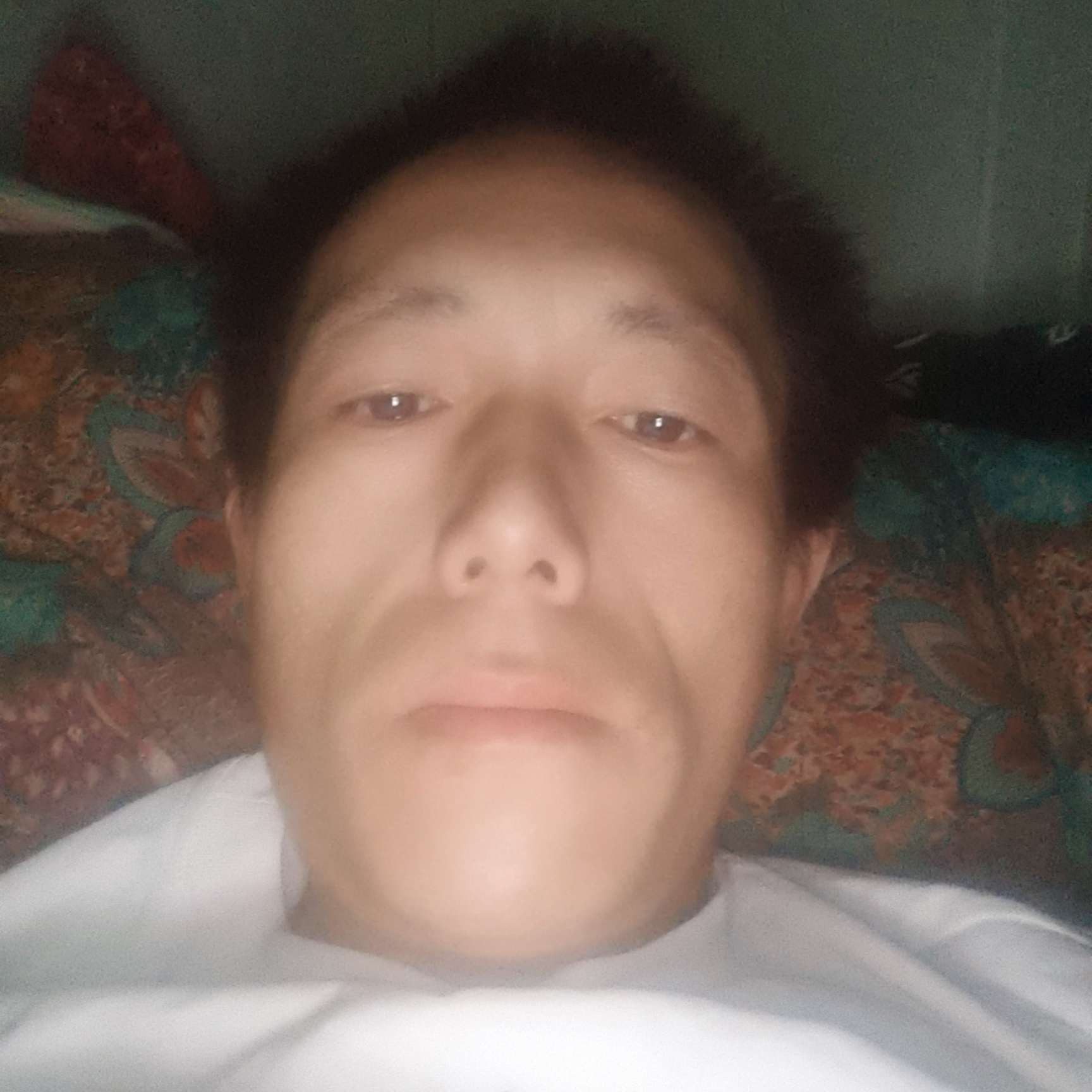 会员14696452的照片