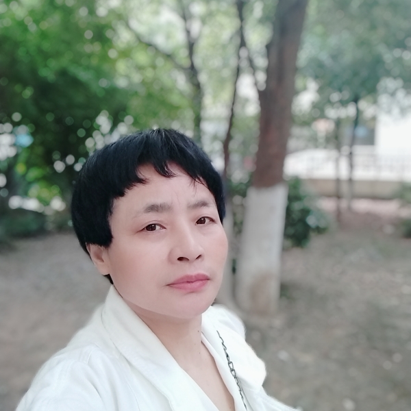 纸鹤热心的照片
