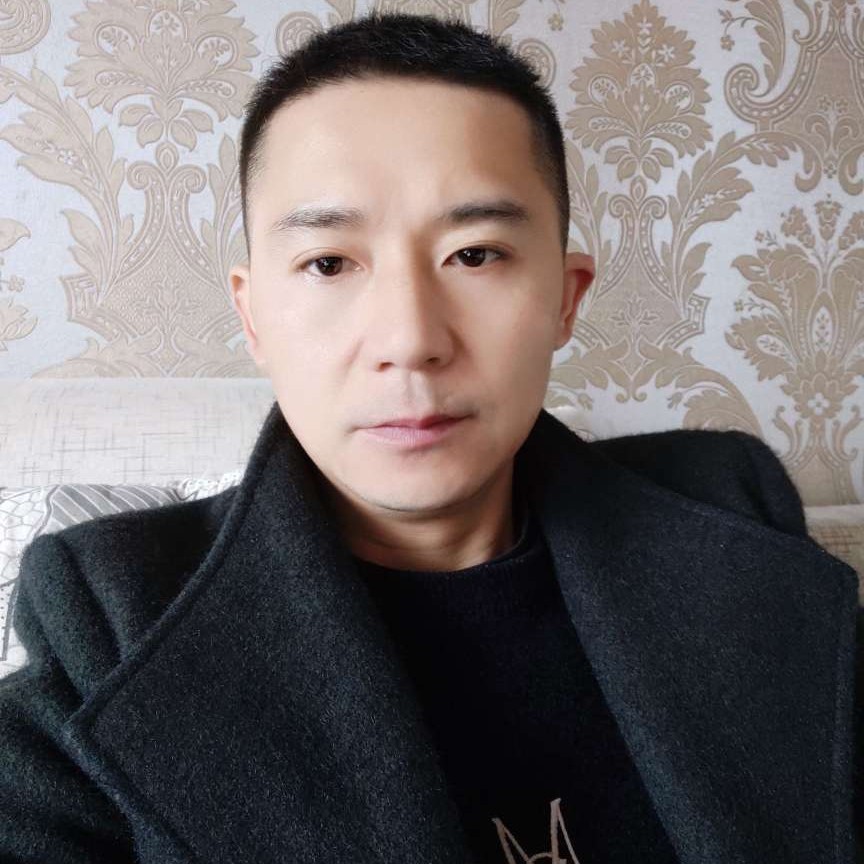 霸气向灰狼的照片
