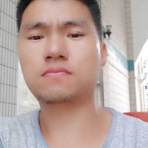 蚂蚁扯傻傻的照片