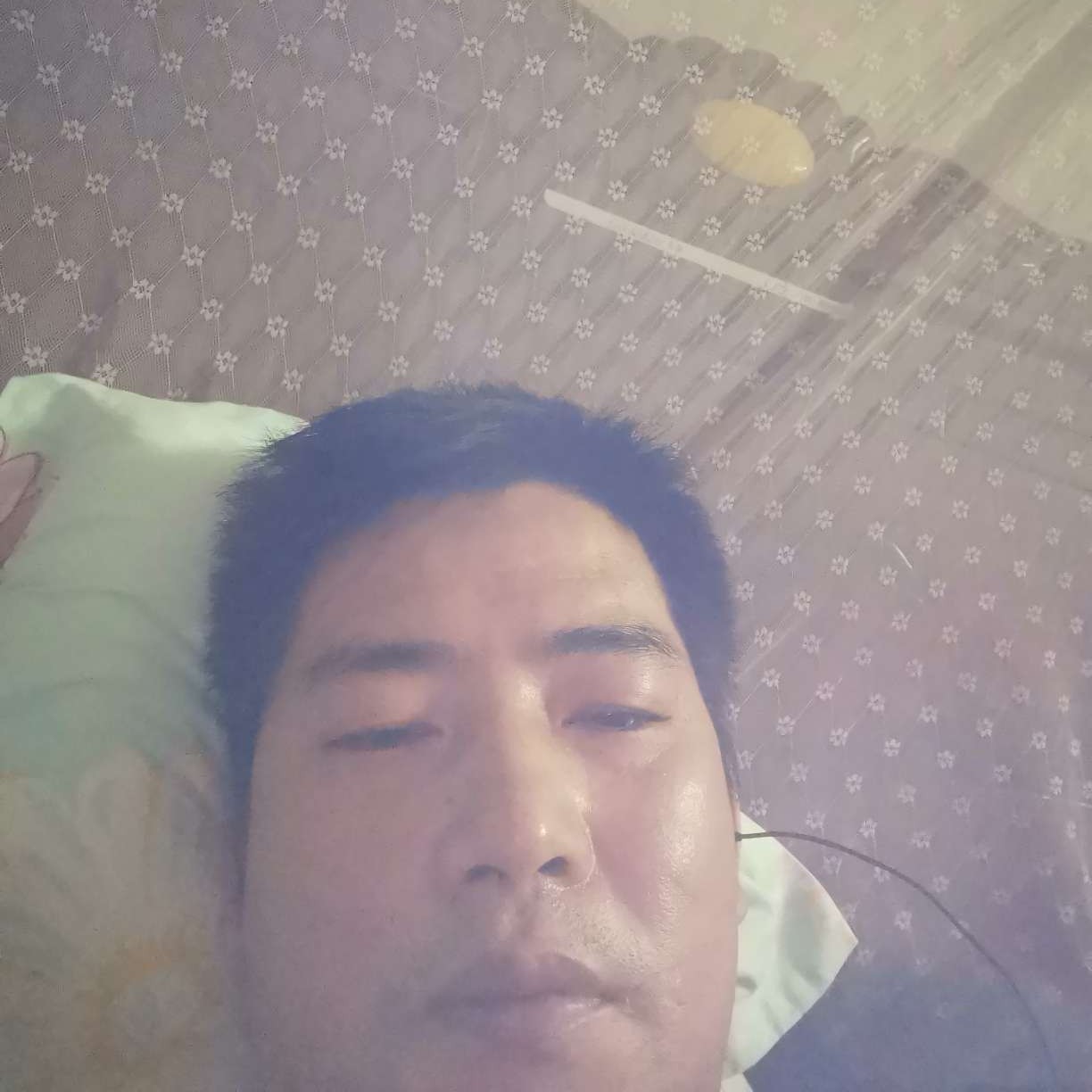 安静邂逅月饼的照片