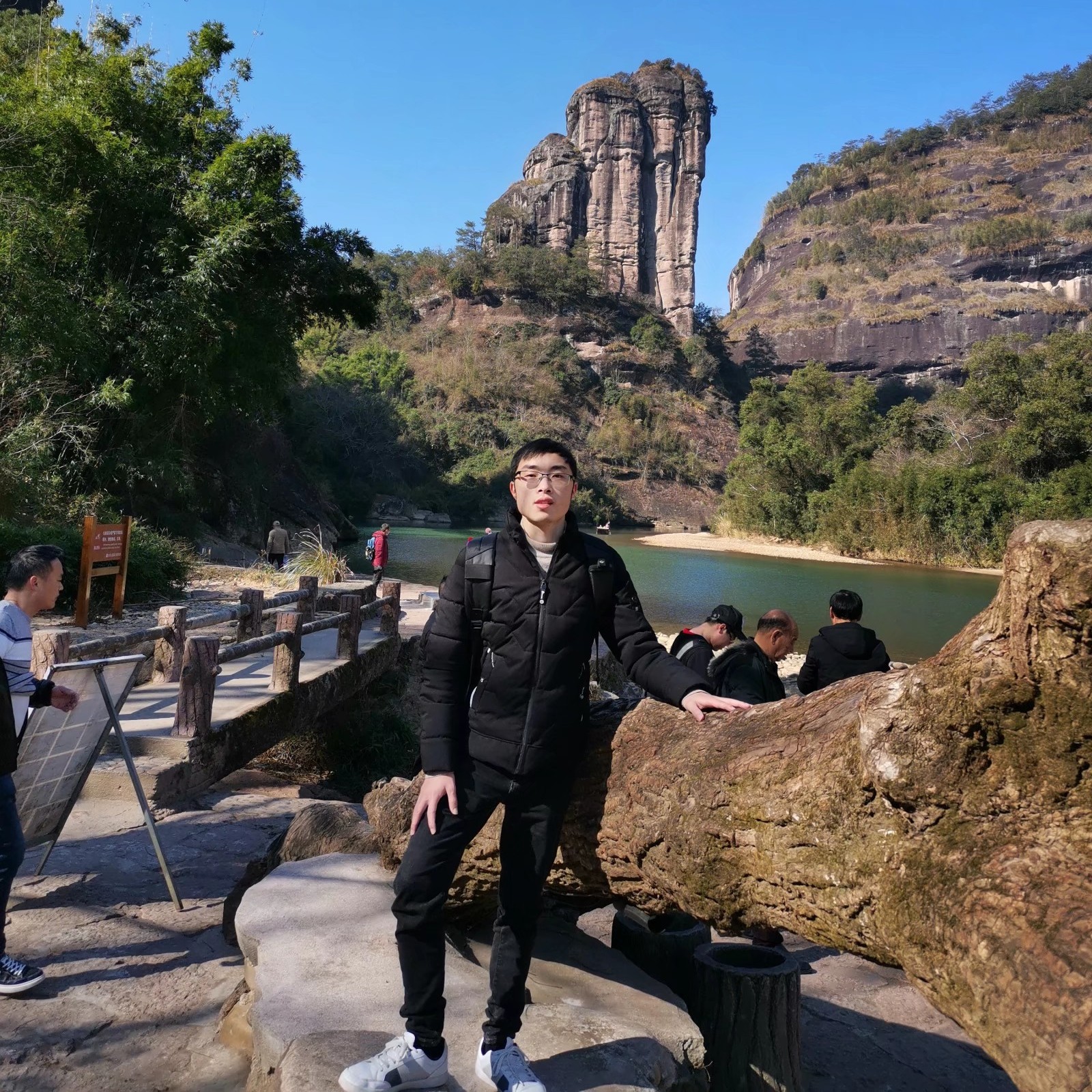树荫下的影子的照片