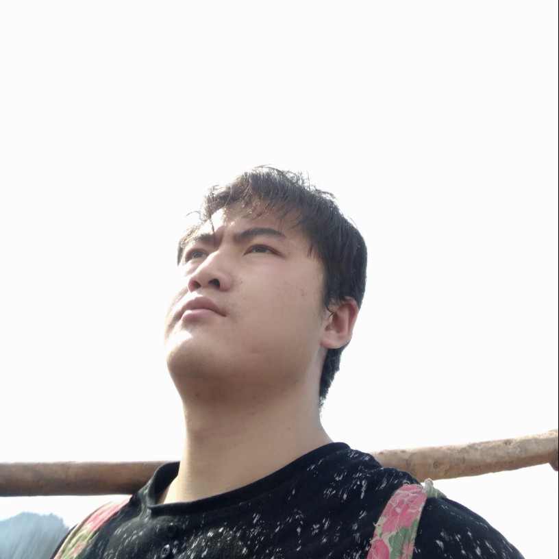 太极阴阳鱼的照片