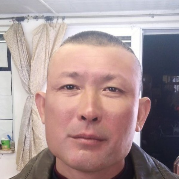 宝马含蓄的照片