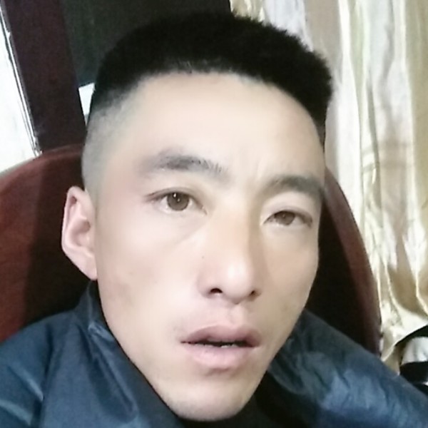 小熊猫和甜美的照片